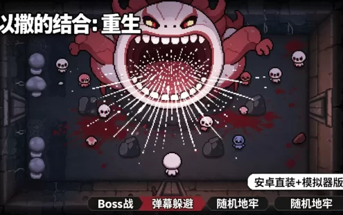《以撒的结合：重生》安卓直装 + 模拟器版